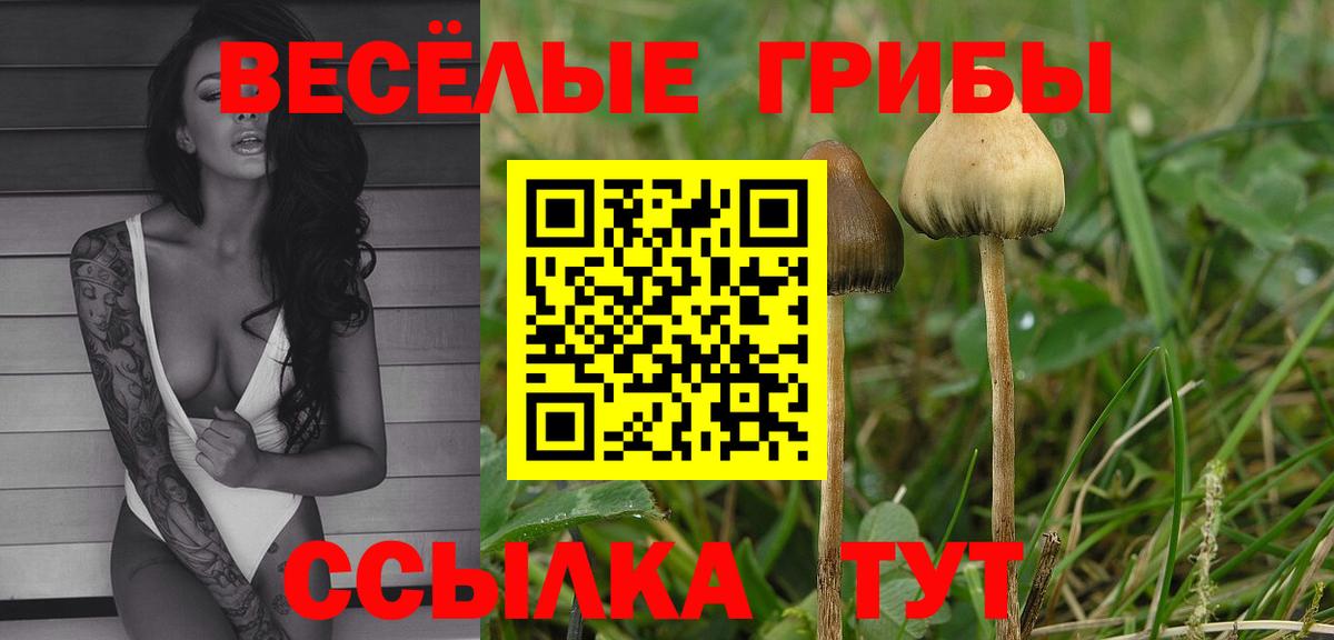 Псилоцибиновые грибы мухоморы  Вход с VPN  Муравленко 